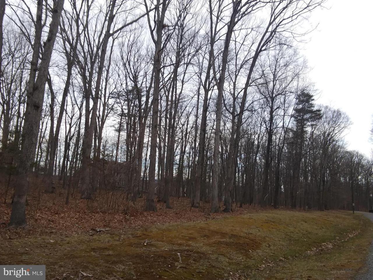0 Broad Run Church - Photo 1
