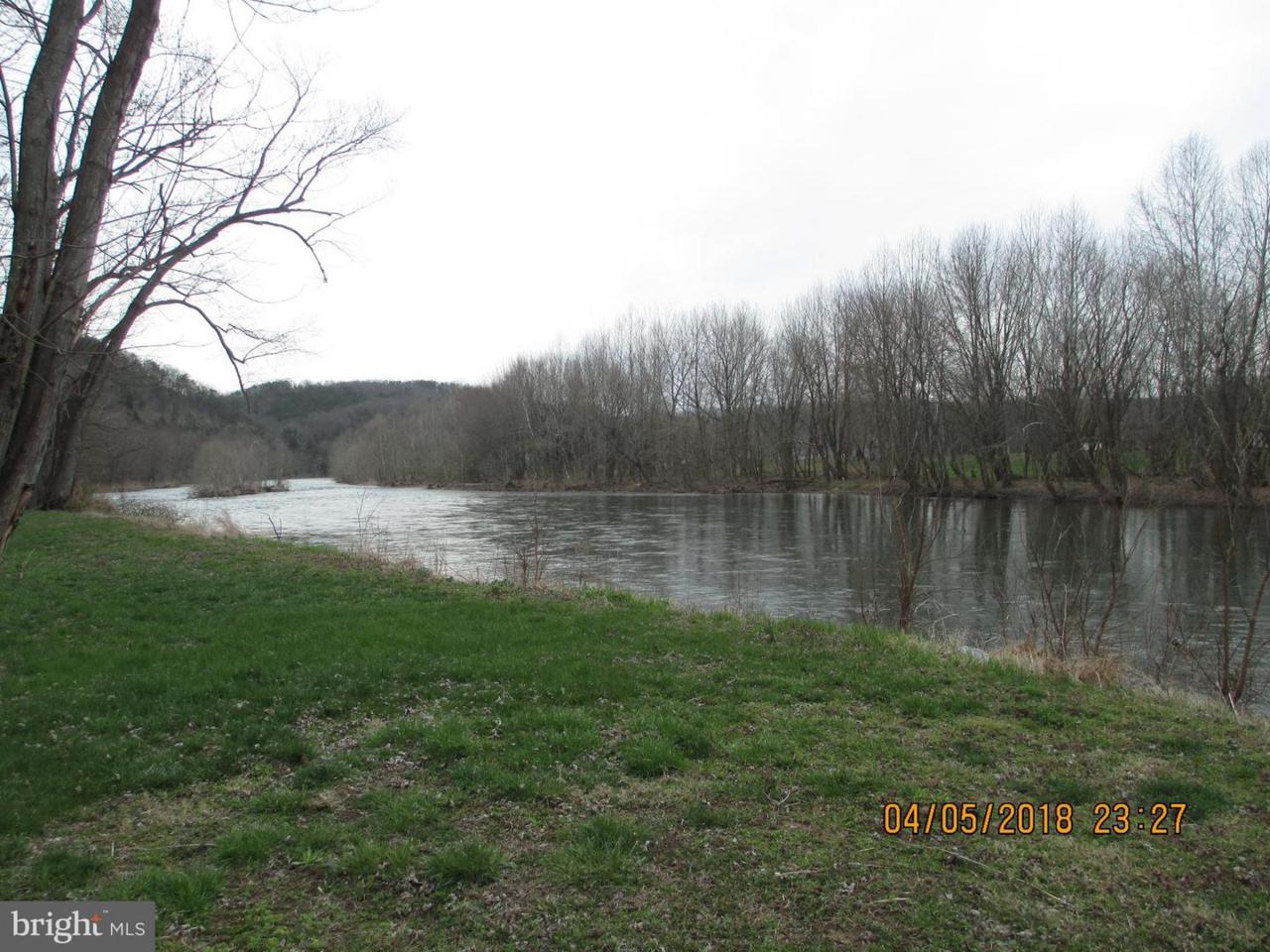 LOT 167 Mt. Patterson Road - Photo 1