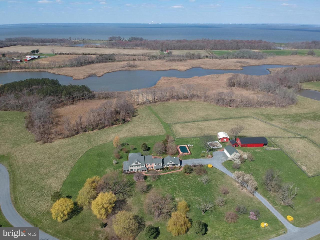 6778 Burris Road - Photo 1
