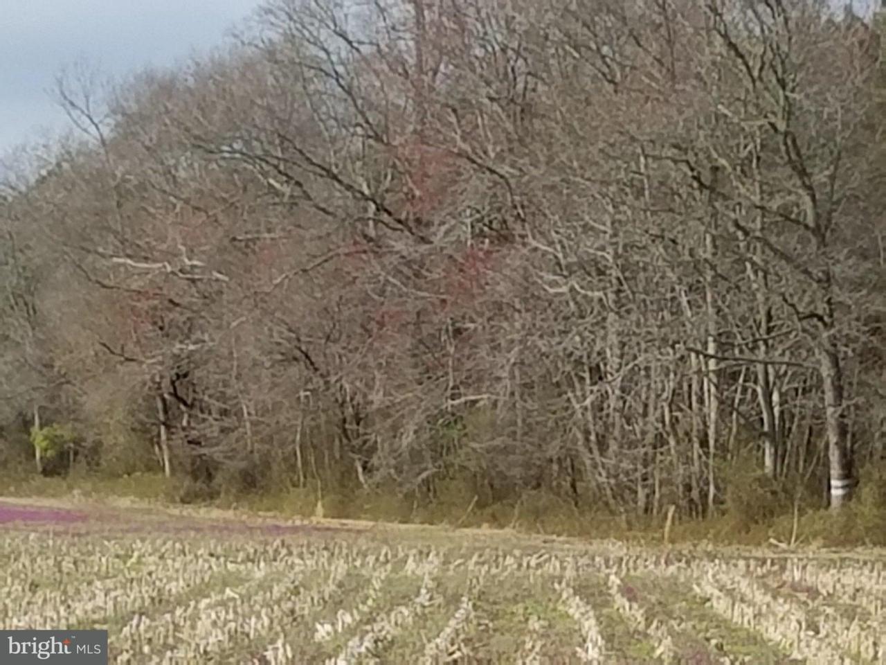 Lot 2 Peanut Tingle Road - Photo 1
