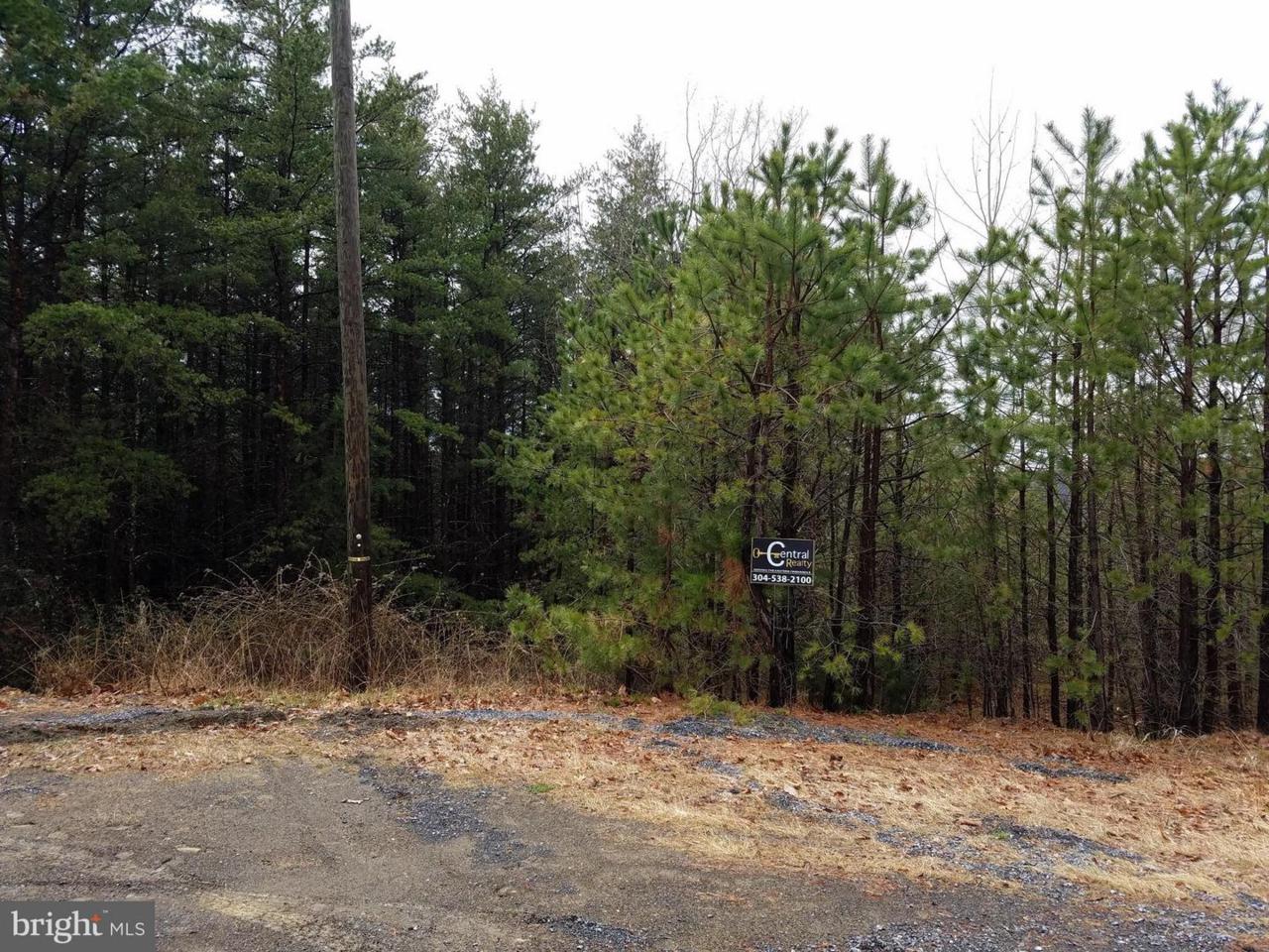 67 Baker Mountain Drive - Photo 1