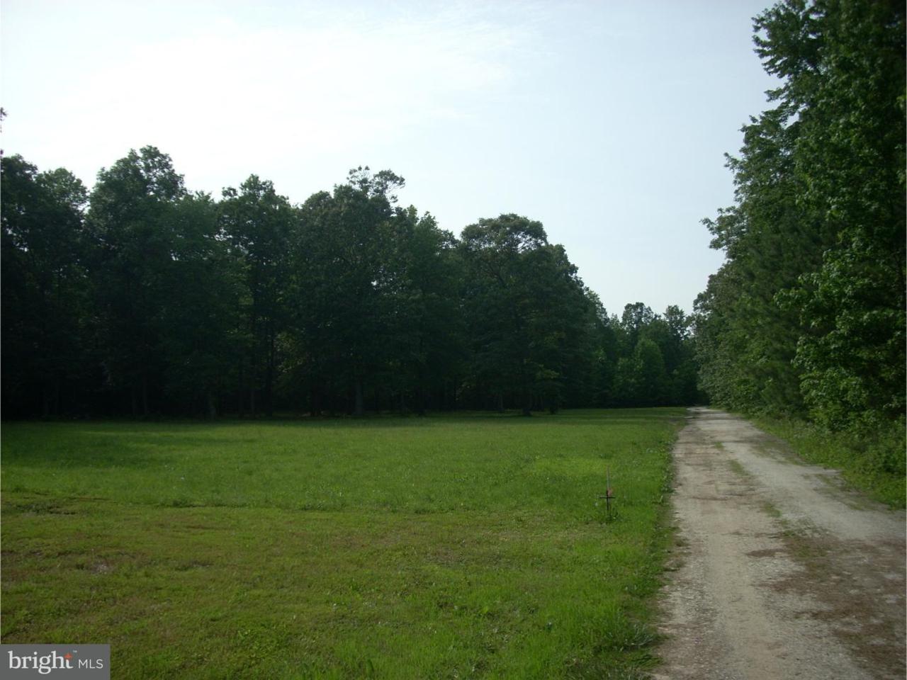 0 Gun And Rod Club Road - Photo 1