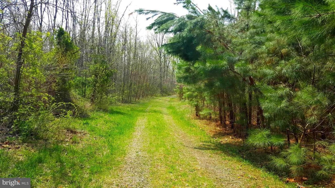 Rainbow Way - Photo 1