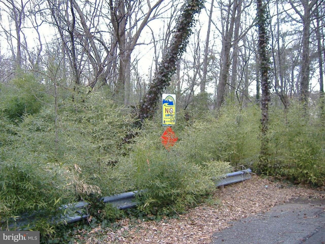 Orbit Lane - Photo 1