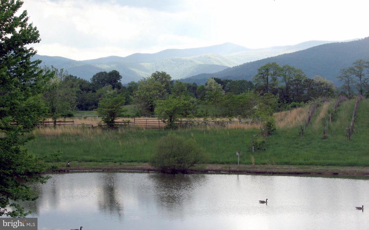 12567 Lee Highway - Photo 1 12567 Lee Highway - Photo 1