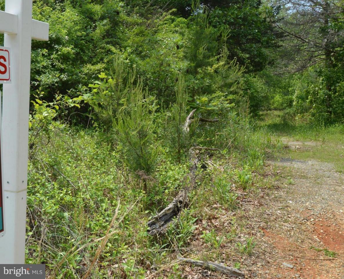 7072 Macedonia Road - Photo 1
