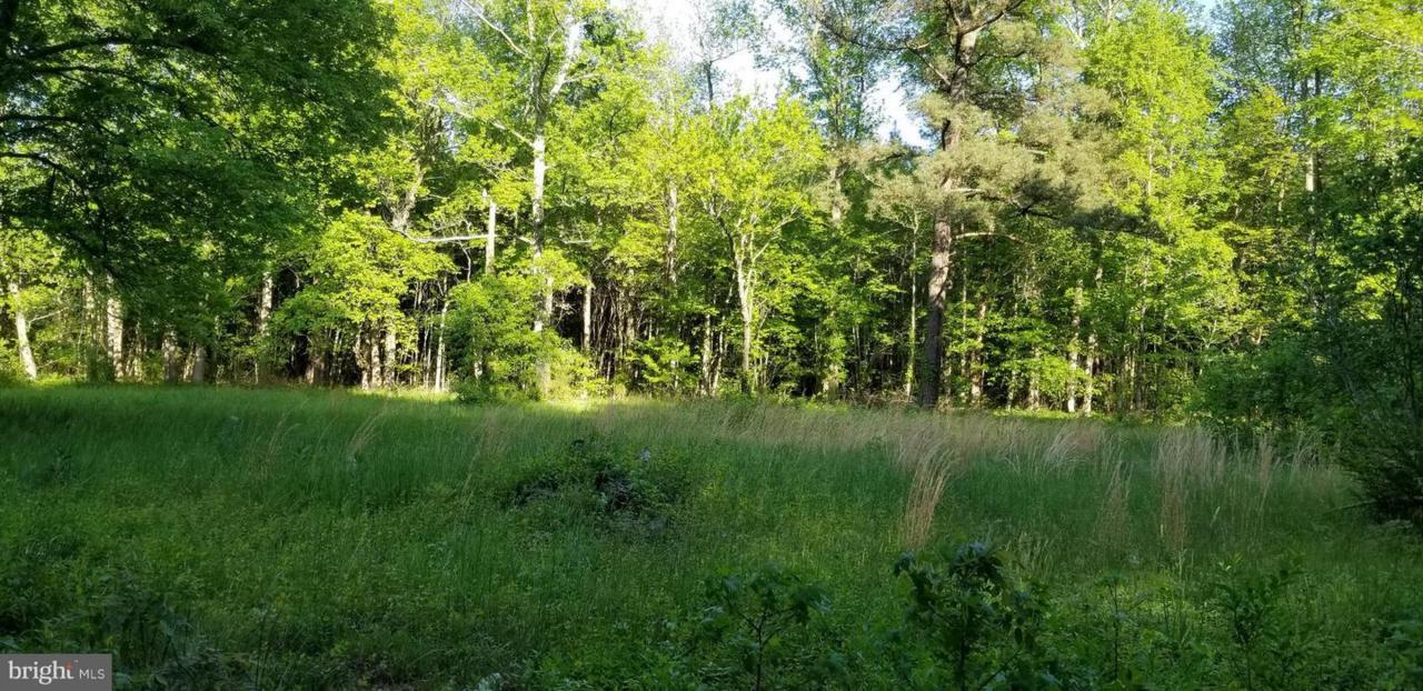 5325 Beaver Neck Village Road - Photo 1