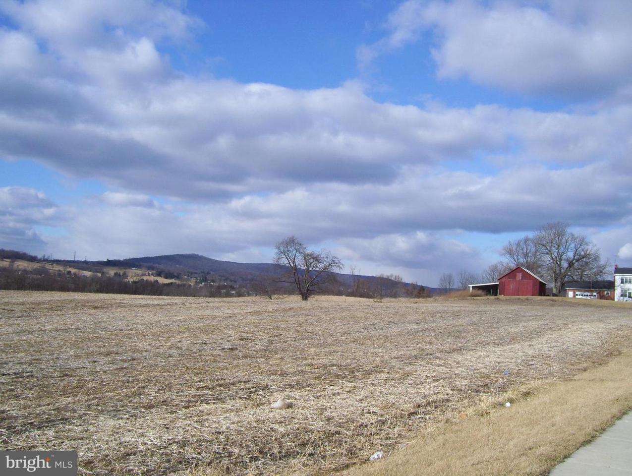 Main Street - Photo 1