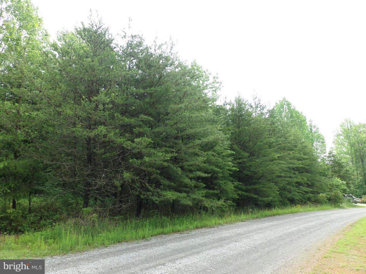 Indian Trace Trail - Photo 1