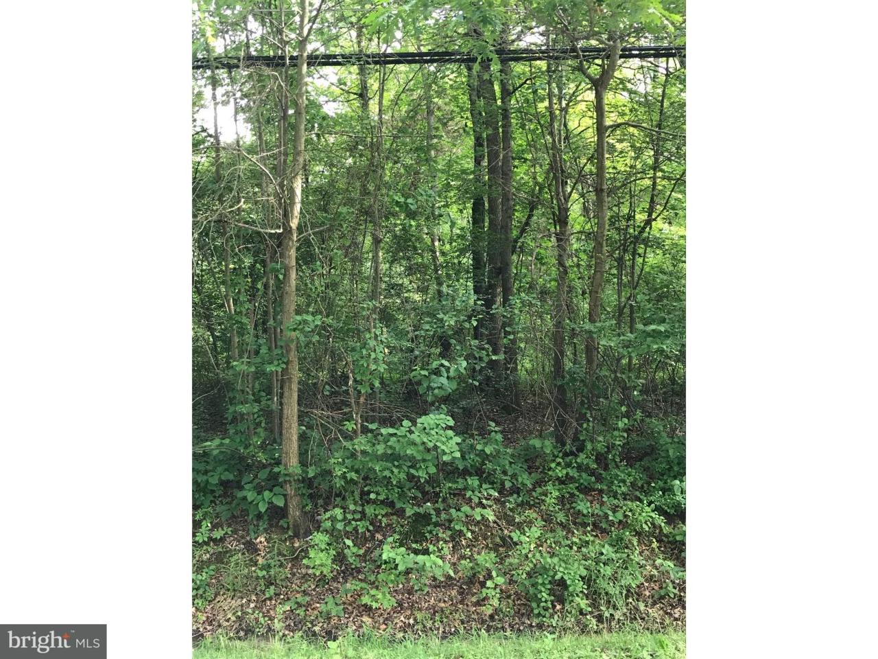 00 Mannington Yorketown Road - Photo 1