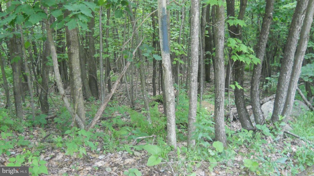 Youngwood Lane - Photo 1