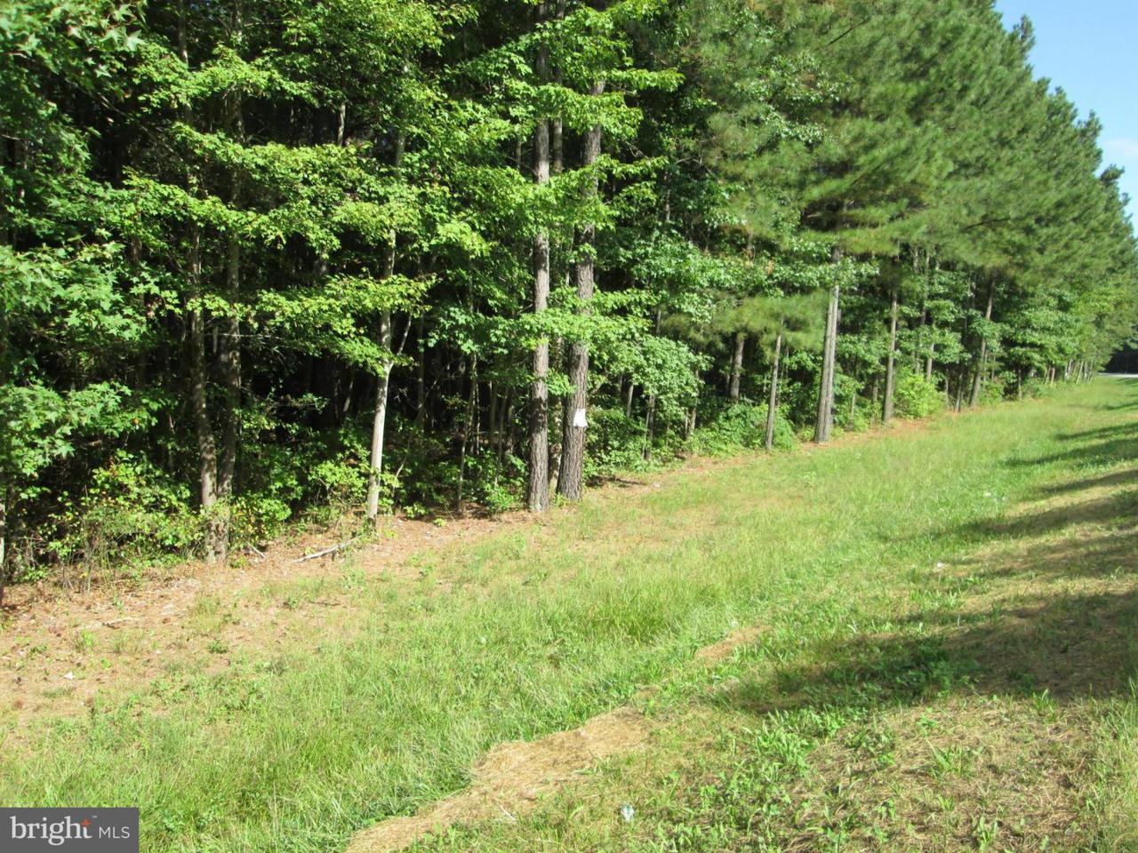 Rte 313 Road - Photo 1