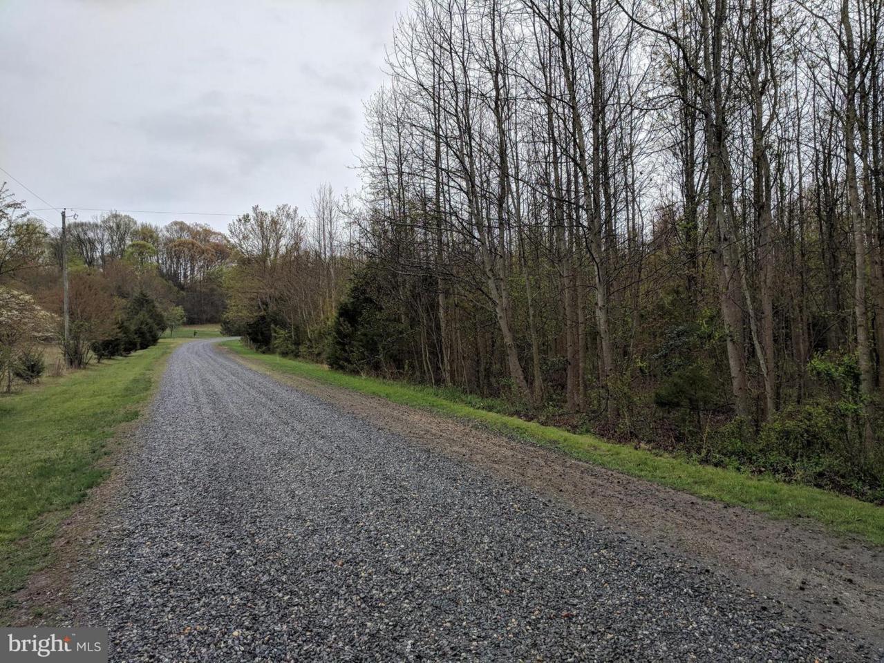 LOT 2 Pine Wood Lane - Photo 1