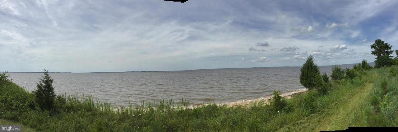 2232-1 Elliott Island Road - Photo 1