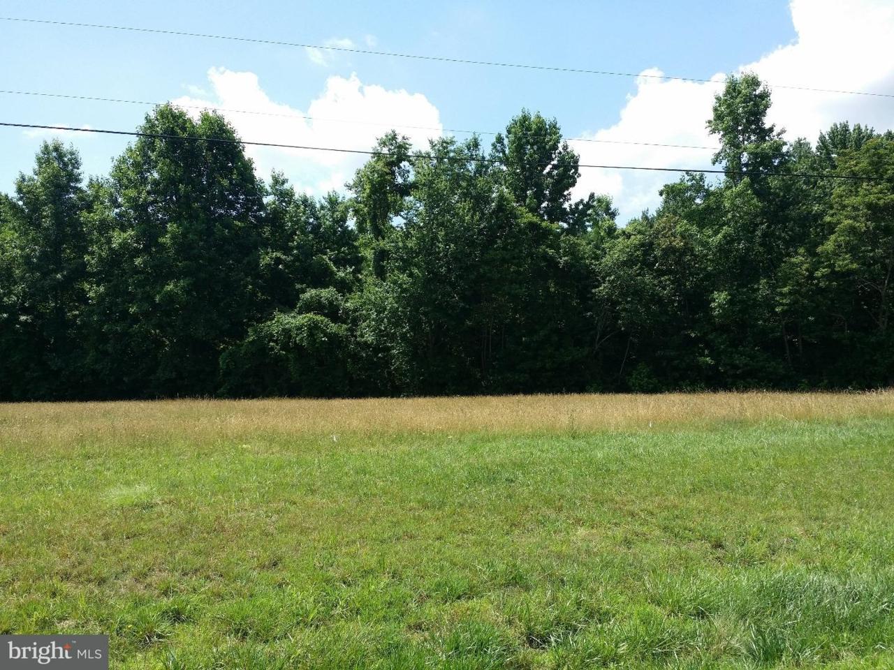 Lot Pine Haven Road - Photo 1