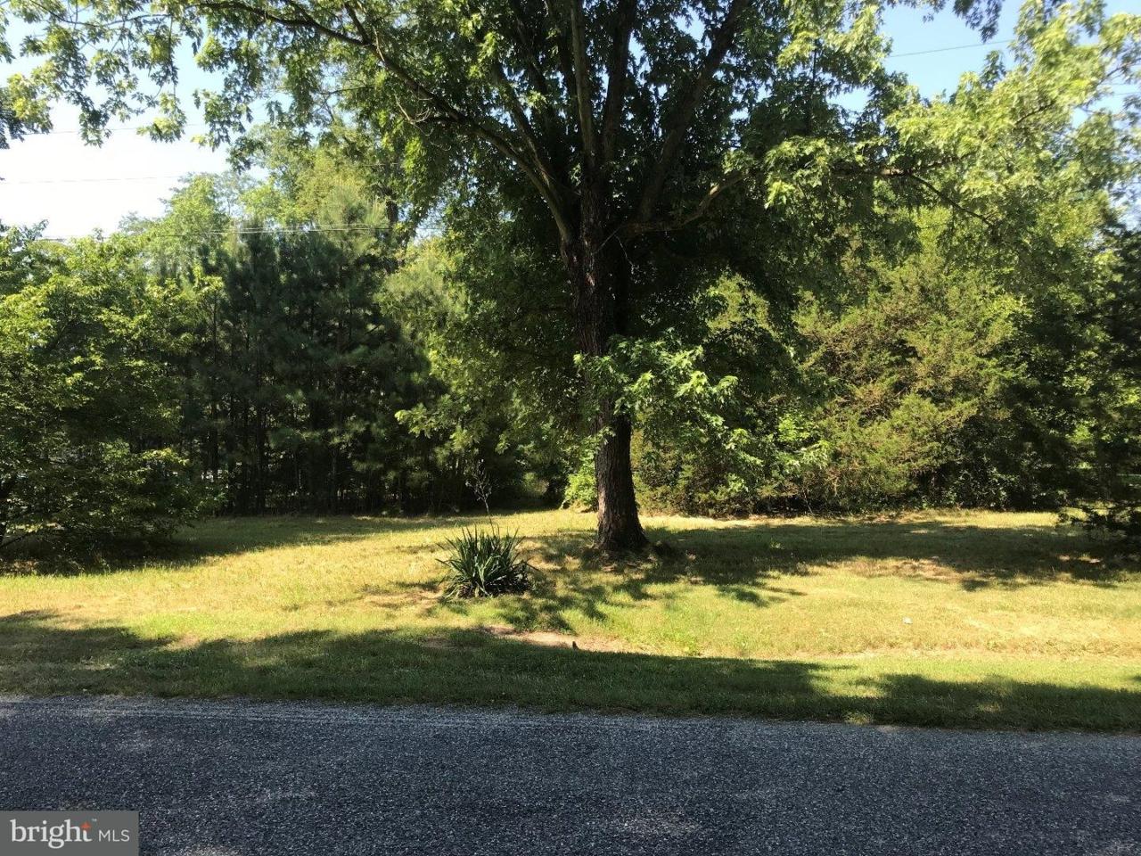 2289 Hunting Quarter Road - Photo 1