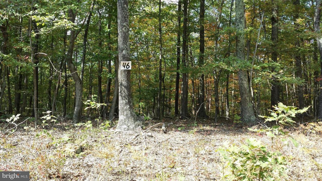 Davids Road - Photo 1