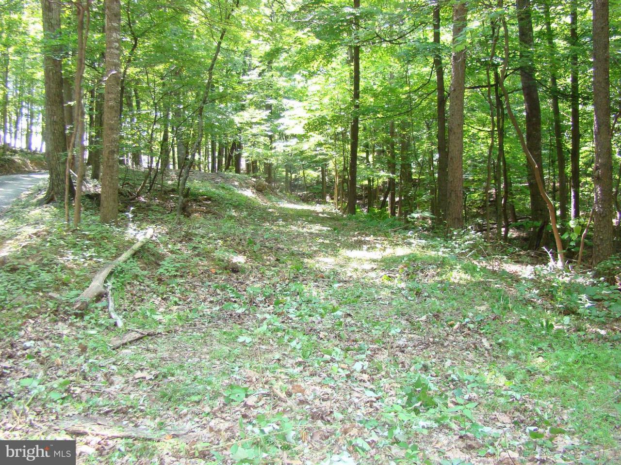 0 Crooked Run Road - Photo 1