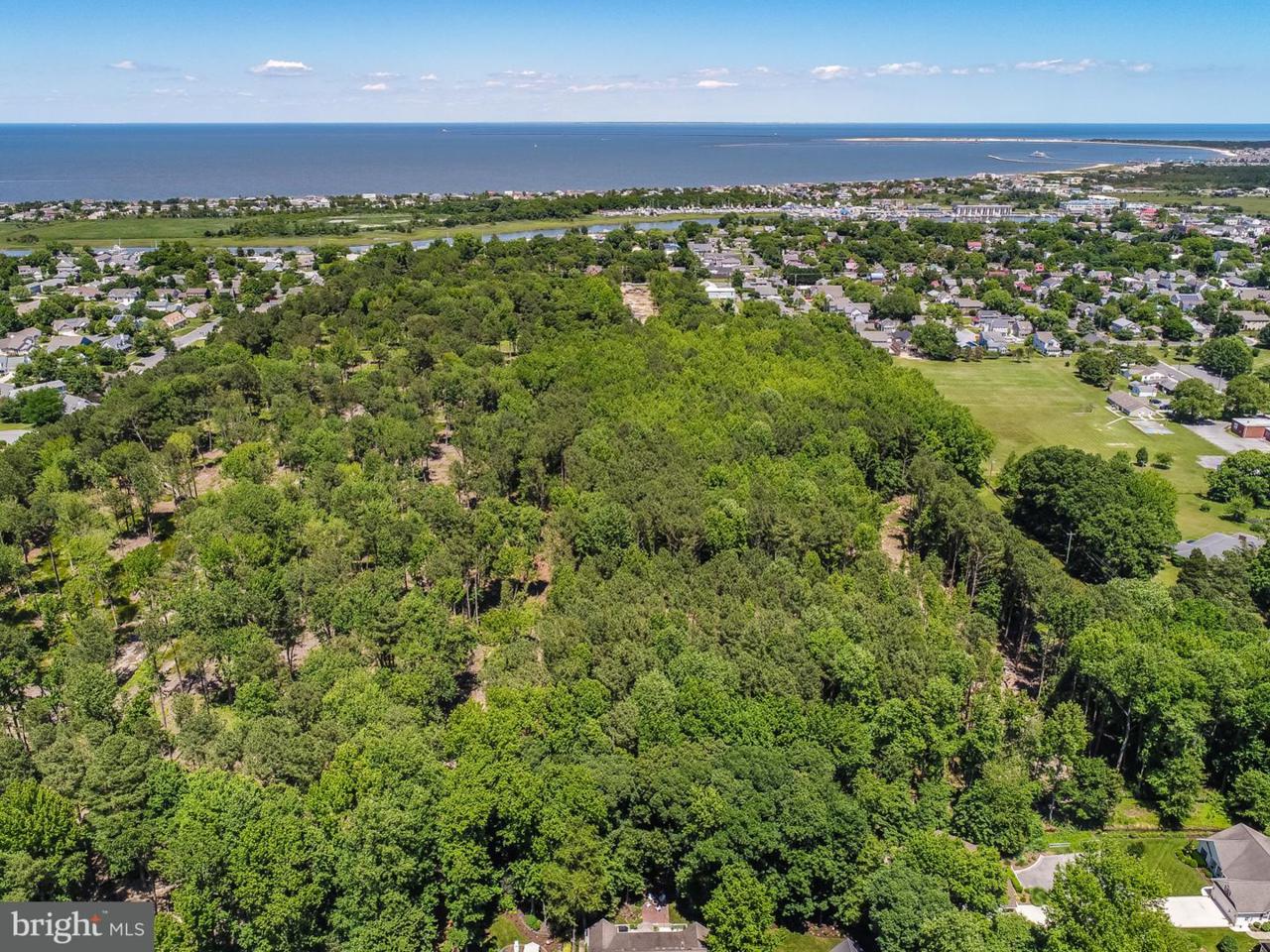 Lot 4 Virden Way - Photo 1