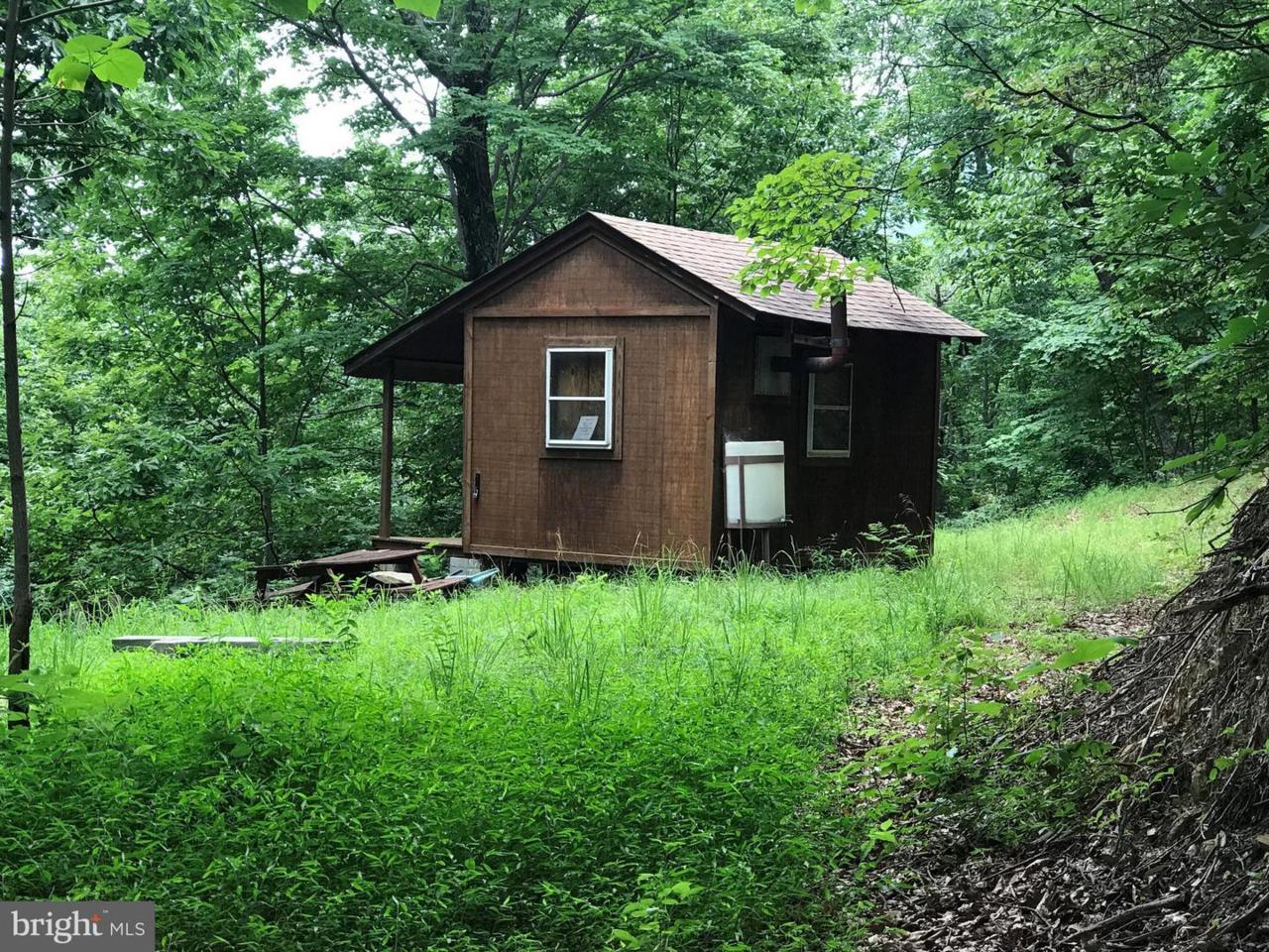 0 Ruth Hollow Fire Trail - Photo 1
