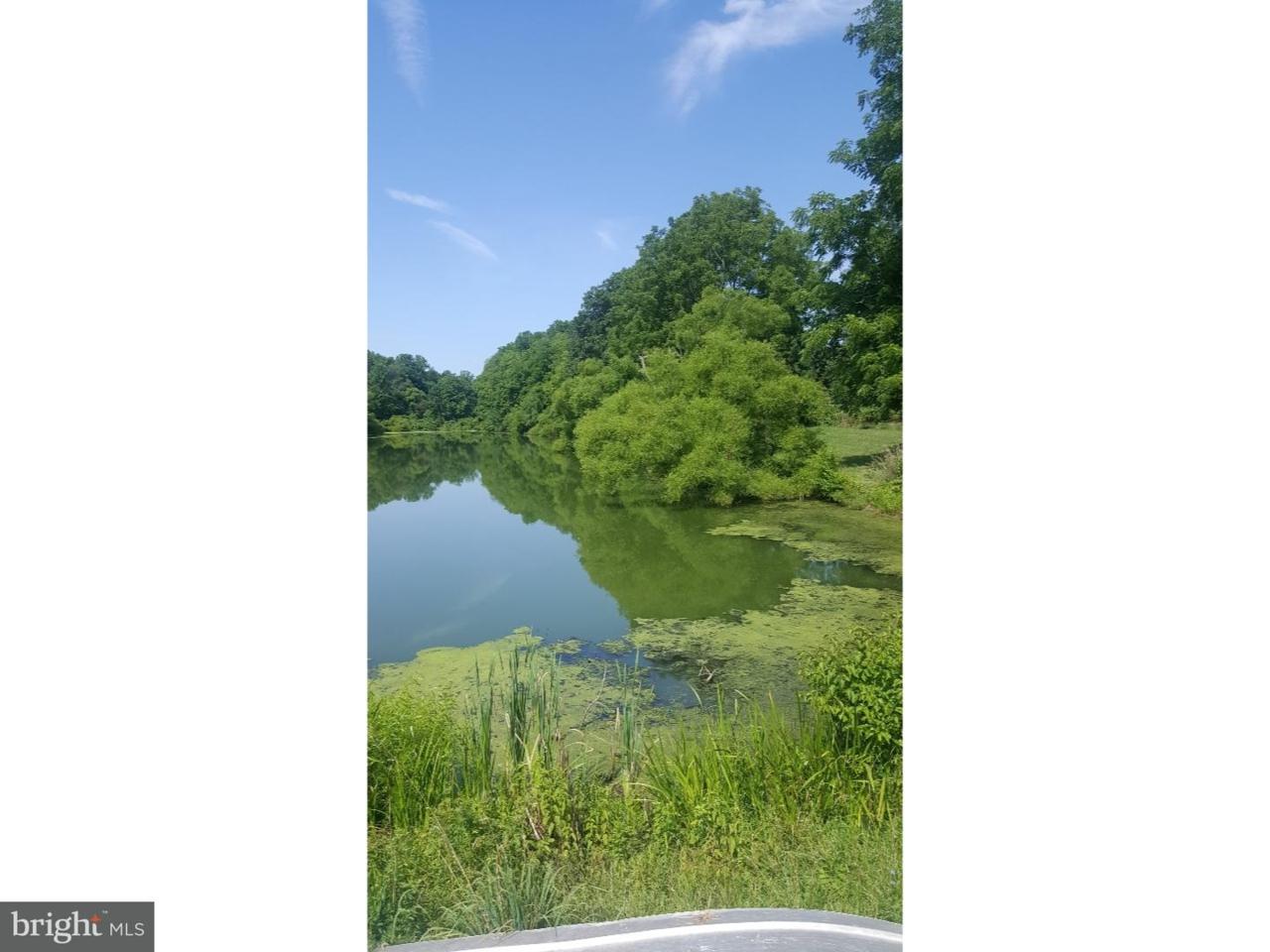 0 Hartz Store Road - Photo 1