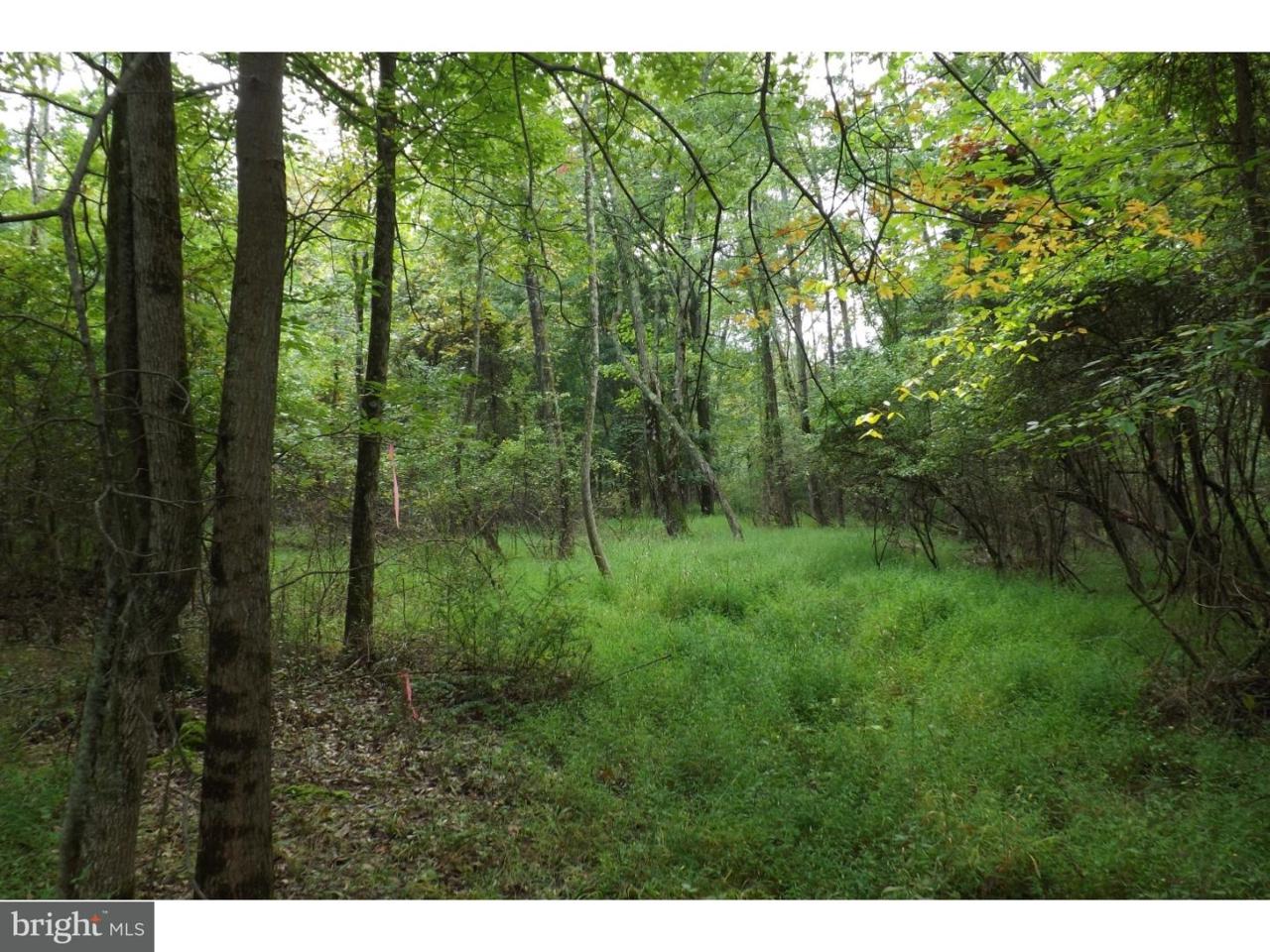 0 Mine Spring Road - Photo 1