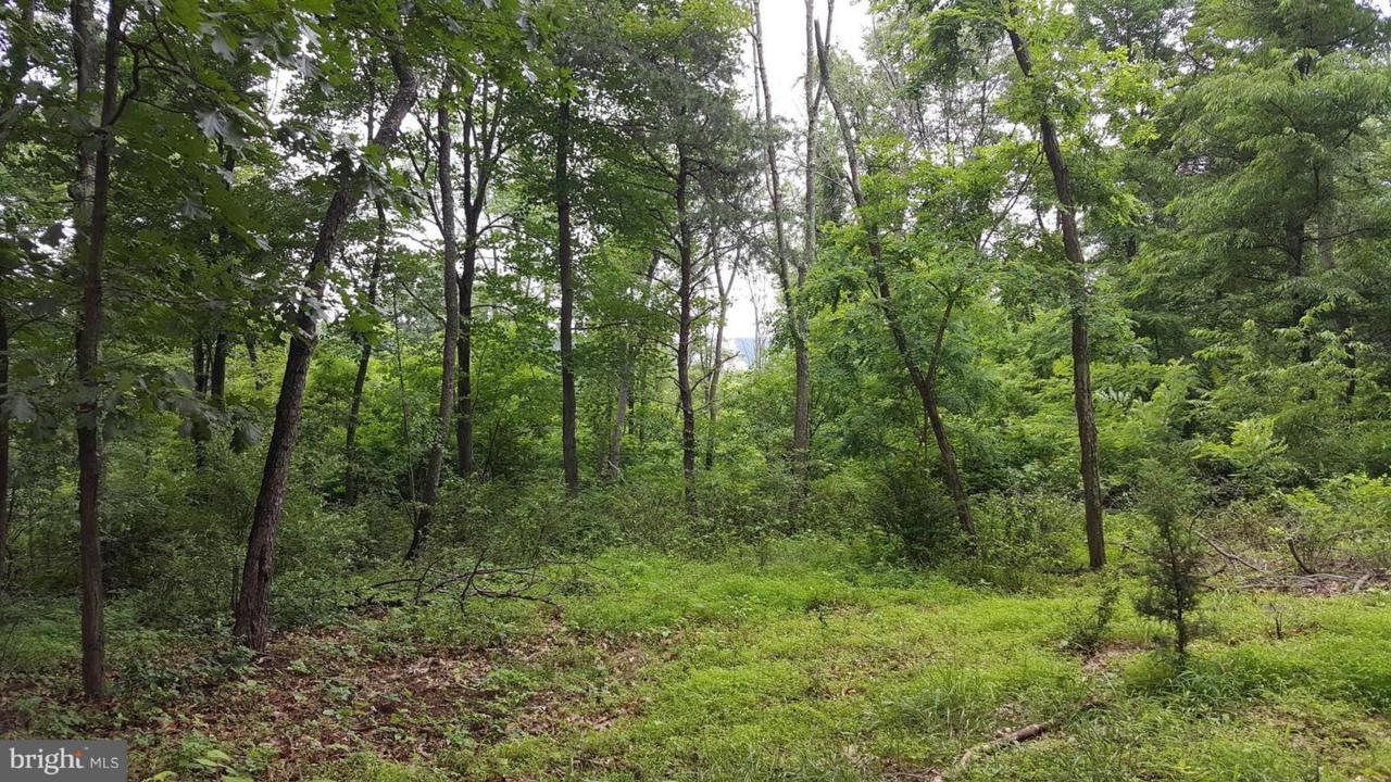 Grove Heights Road - Photo 1