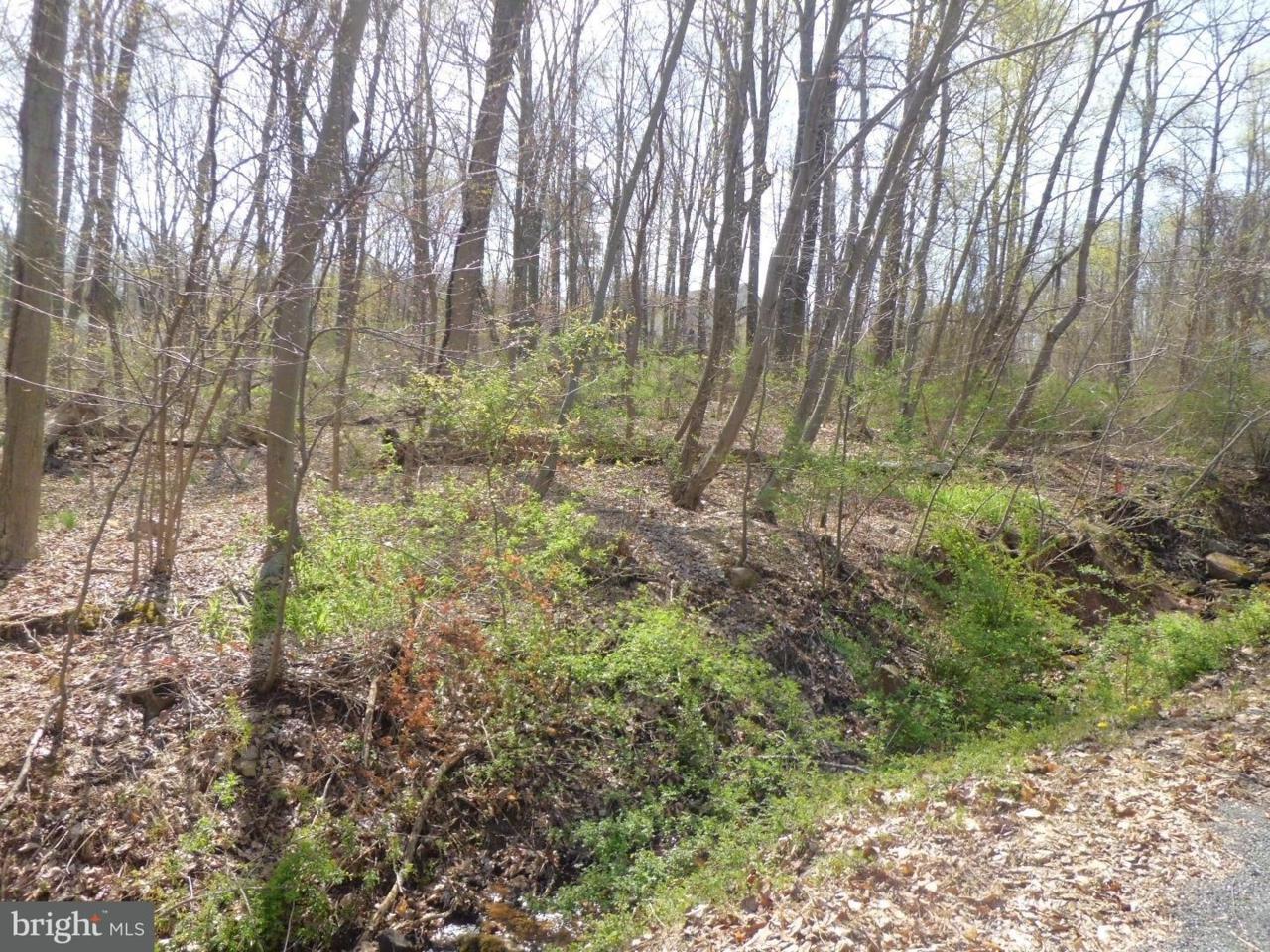 299 Hogan Drive - Photo 1