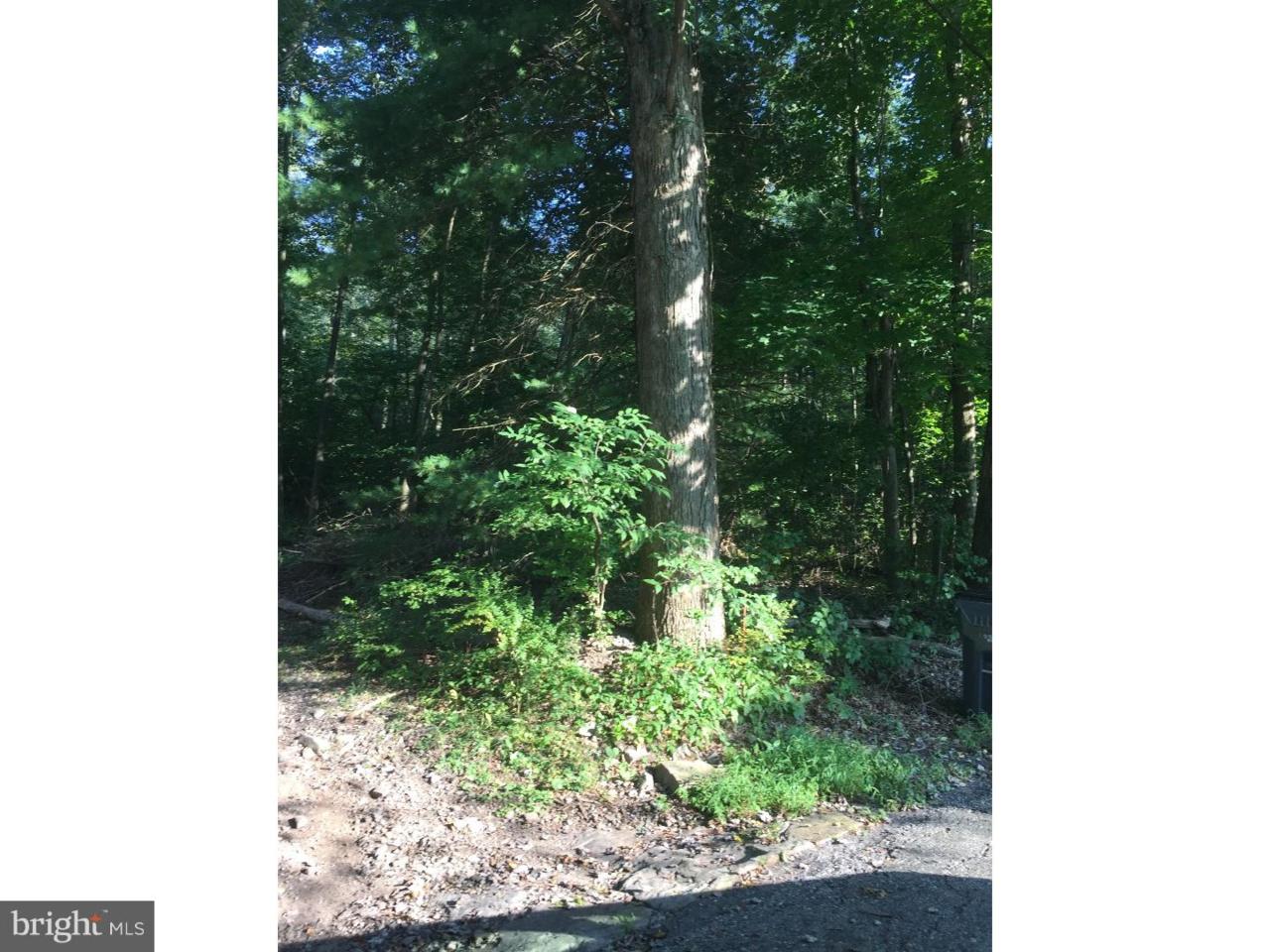 0 Mountain Road - Photo 1