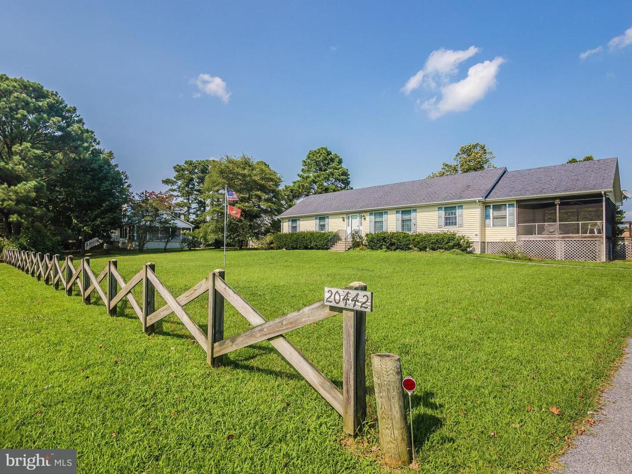 20442 Nanticoke Drive - Photo 1
