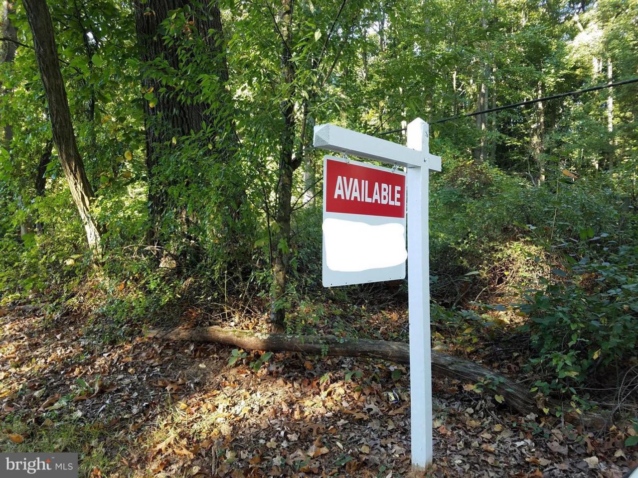 19420 Peach Tree Road - Photo 1