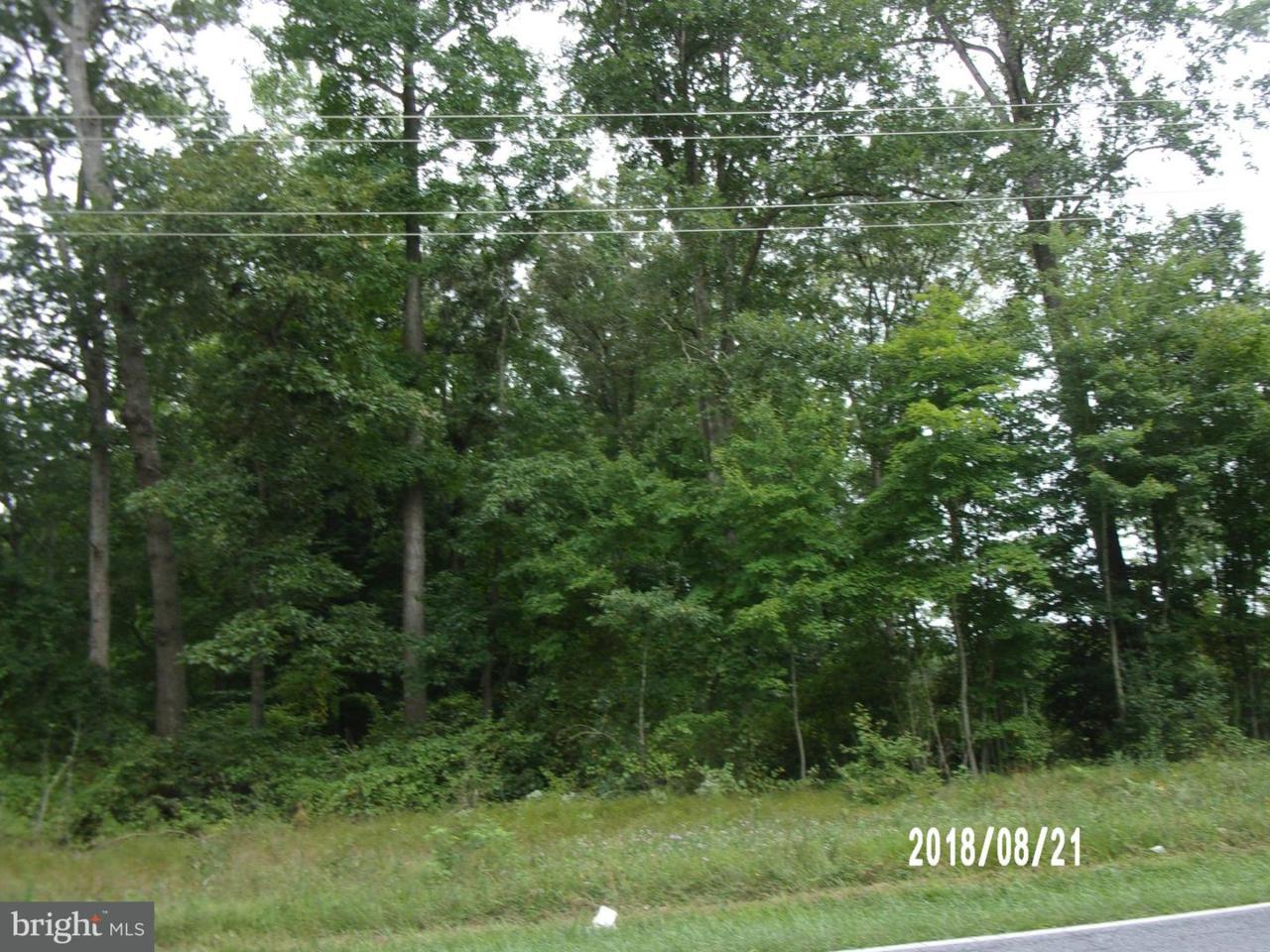 0 Route 431 - Photo 1