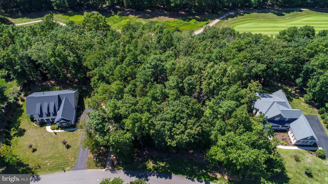 11406 Little Bay Harbor Way - Photo 1
