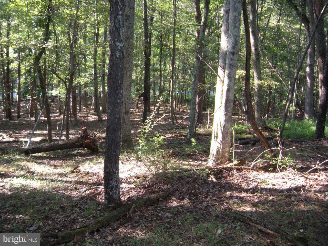 390 Paw Paw Mtn Road - Photo 1
