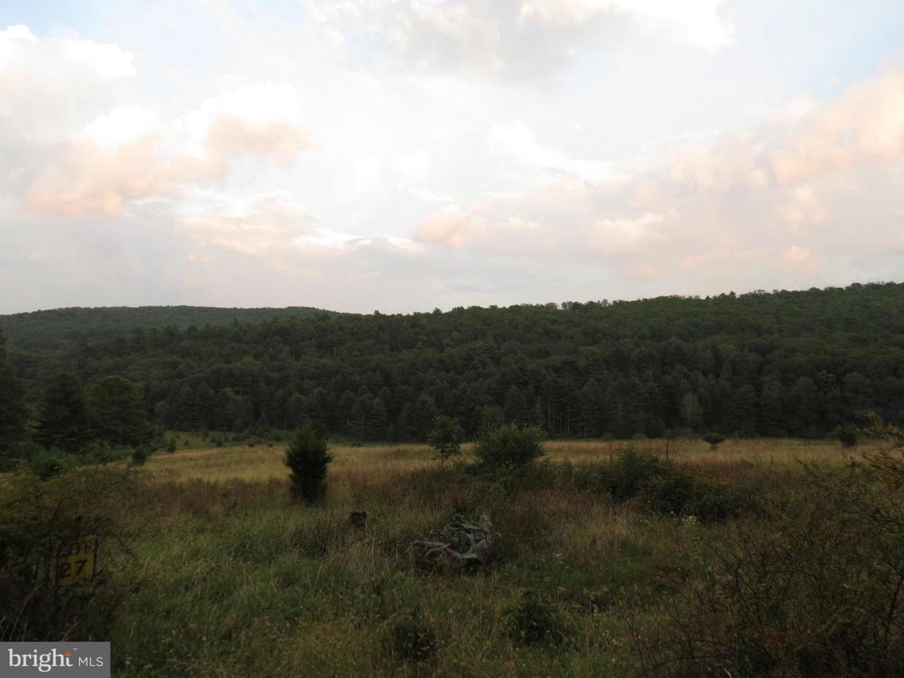 27 Off Rt 33 - Photo 1