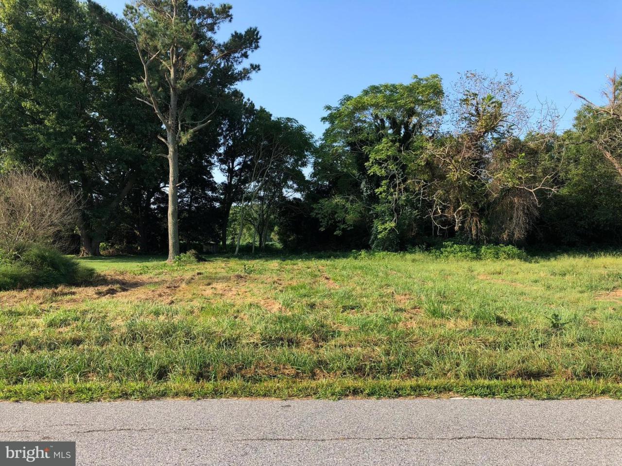 5704 George Island Landing Road - Photo 1 5704 George Island Landing Road - Photo 1