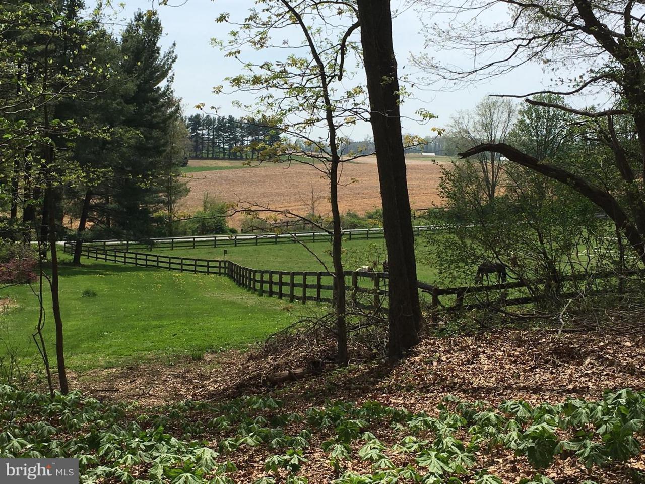 2826 Hitchcock Road - Photo 1