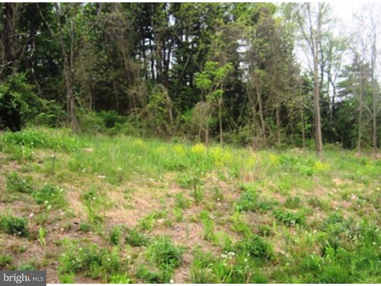 Lot 7 Little Road - Photo 1 Lot 7 Little Road - Photo 1