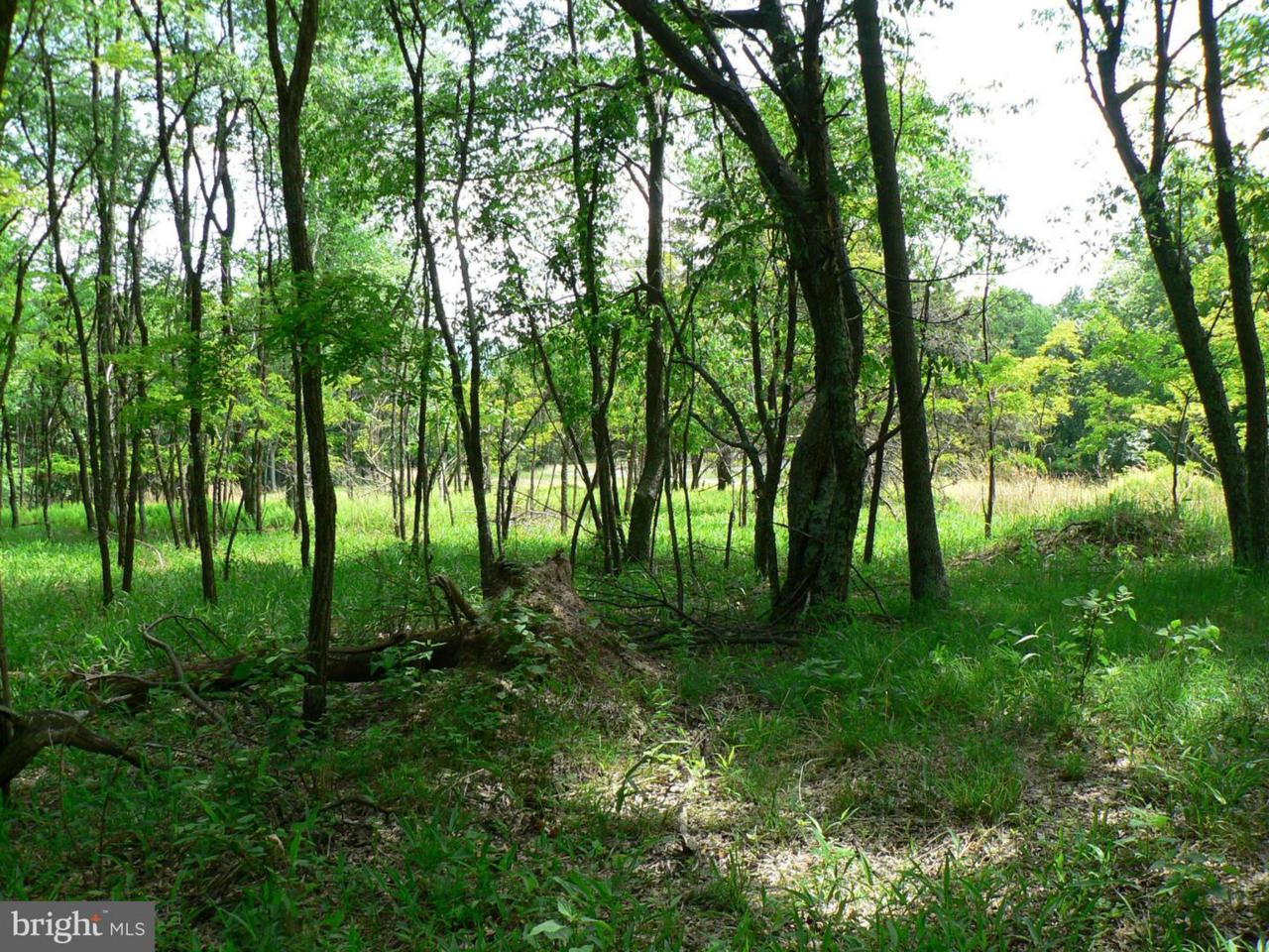 LOT 11 Top Of The Mountain - Photo 1