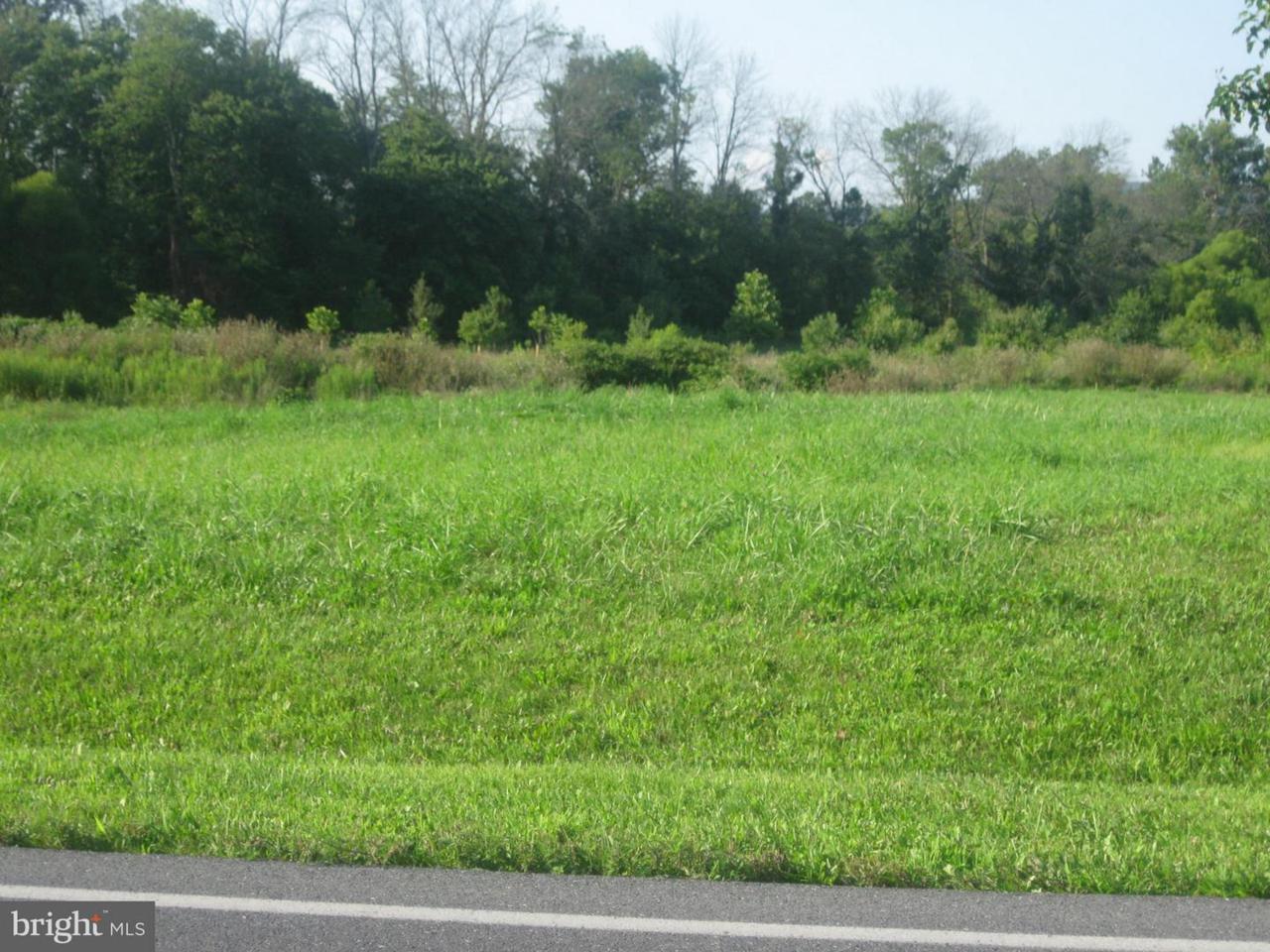 3c-LOT 3C North Welty - Photo 1