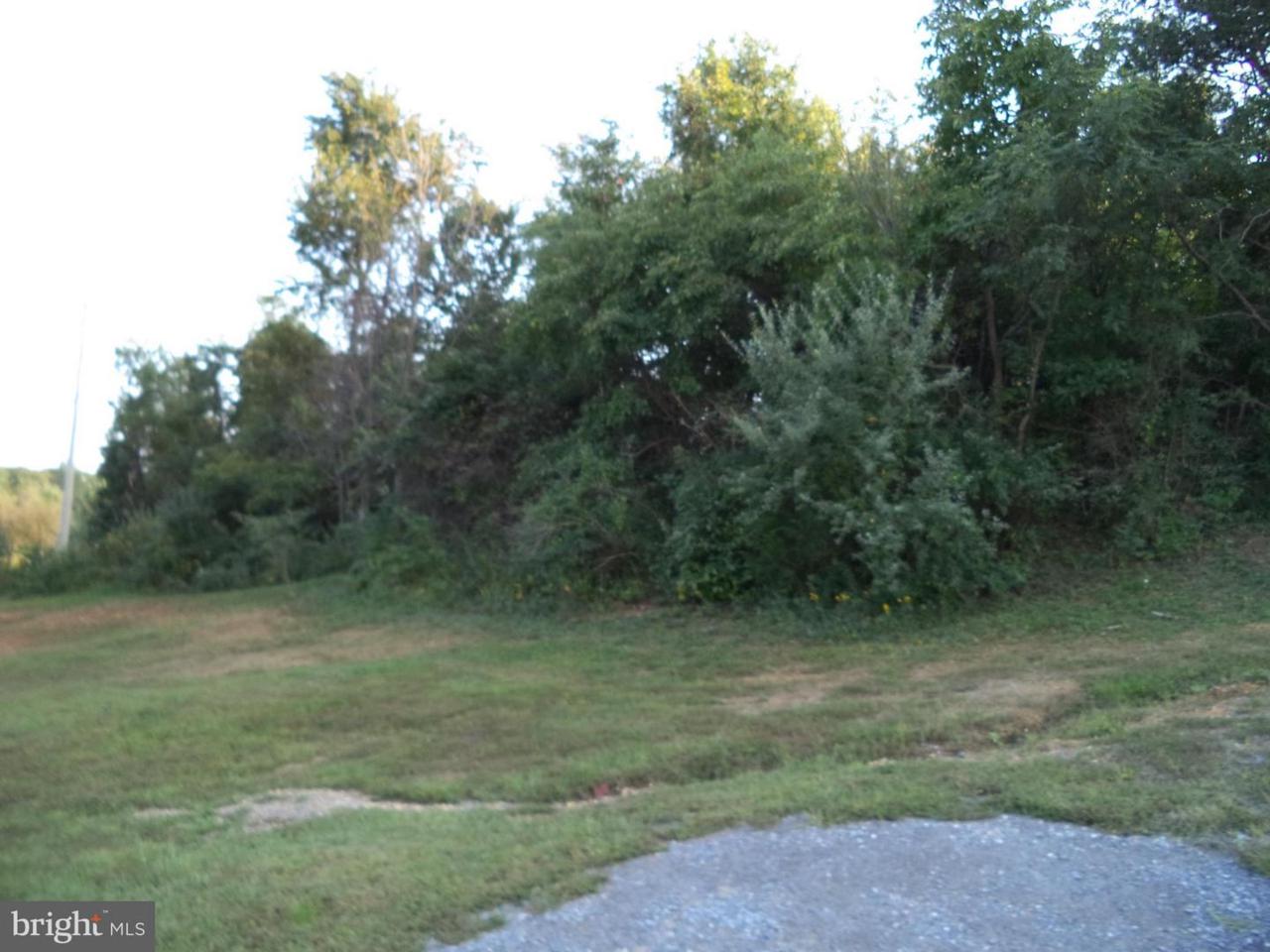 0 Gun Club Road - Photo 1