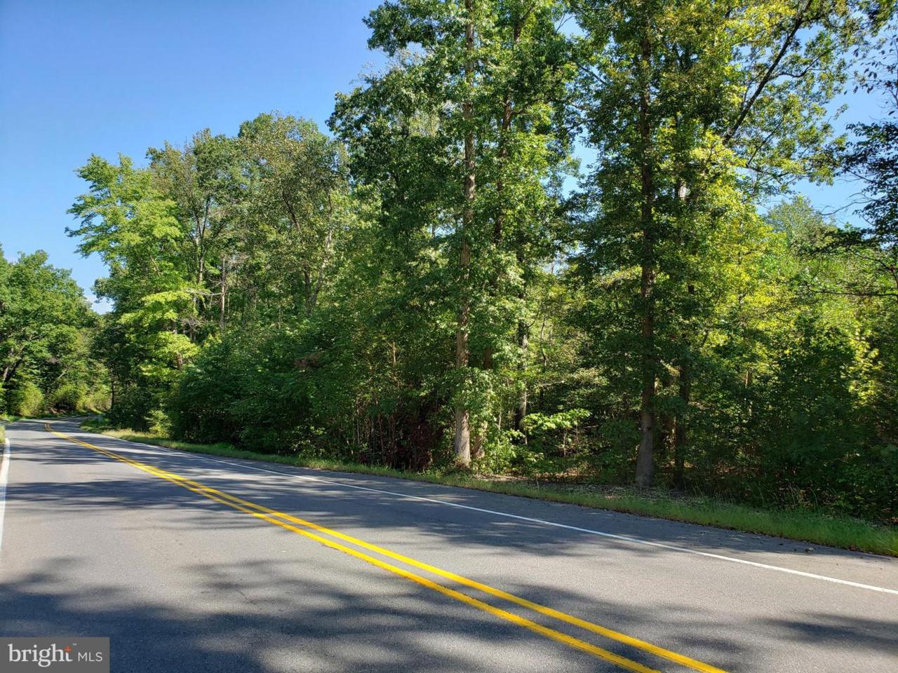 Massaponax Church Road - Photo 1