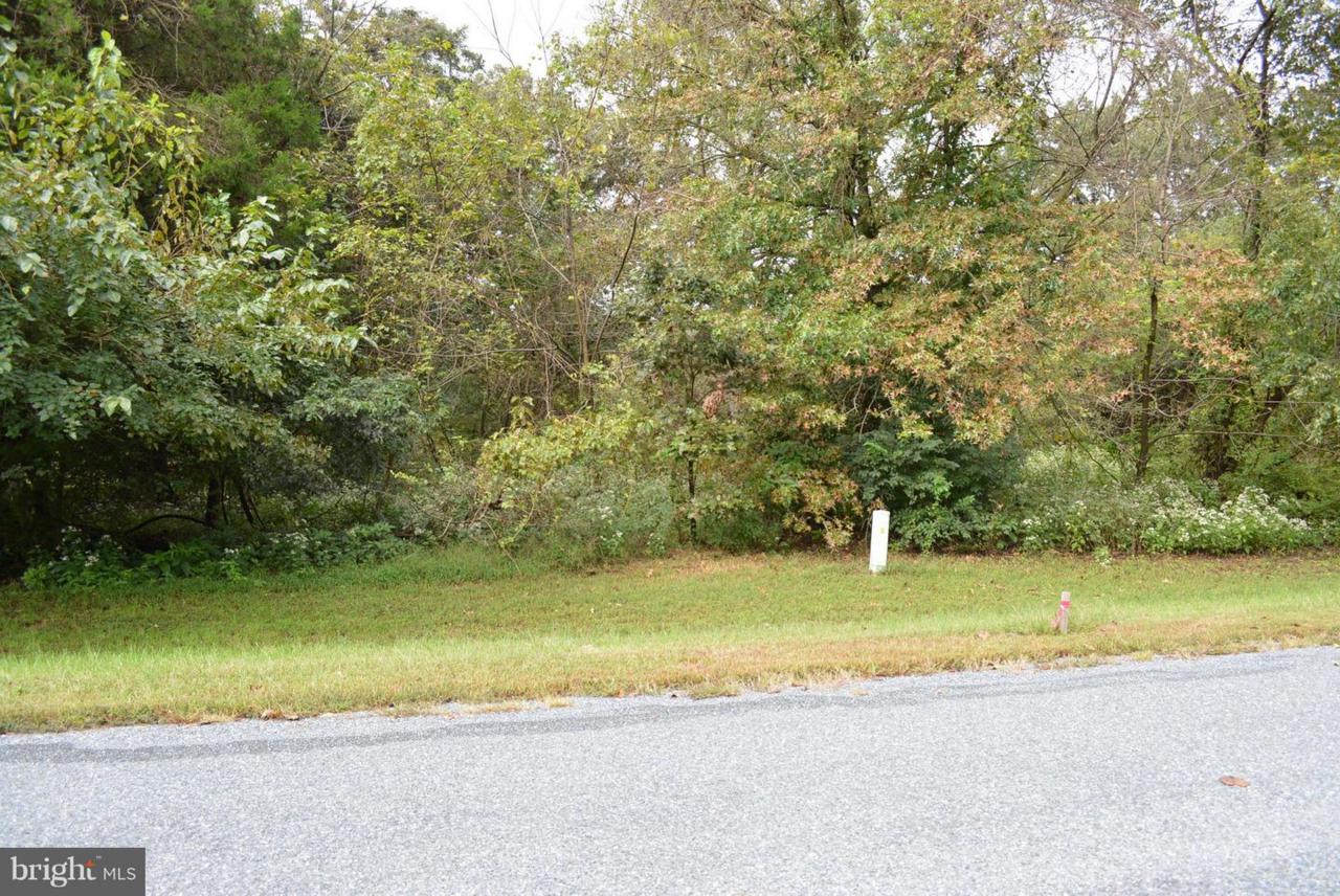113 Atkinson Drive - Photo 1