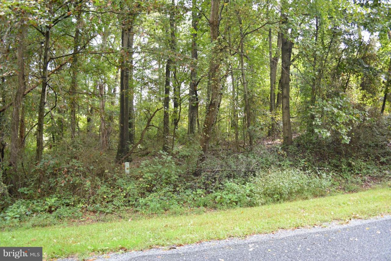 204 Atkinson Drive - Photo 1
