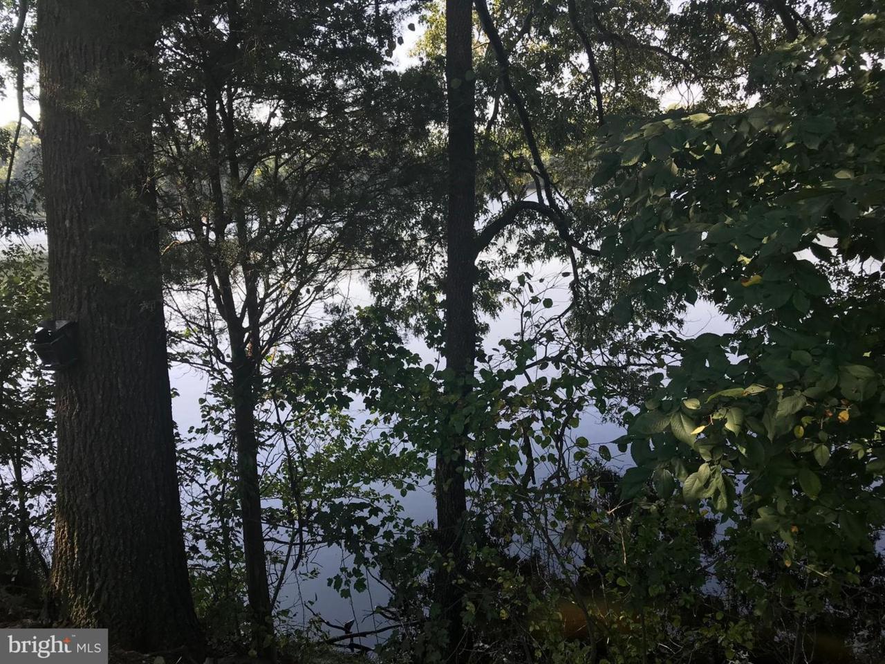 Lake Drive - Photo 1