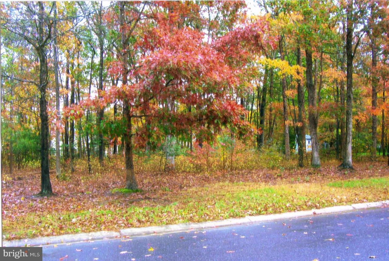 0 Acorn Circle - Photo 1