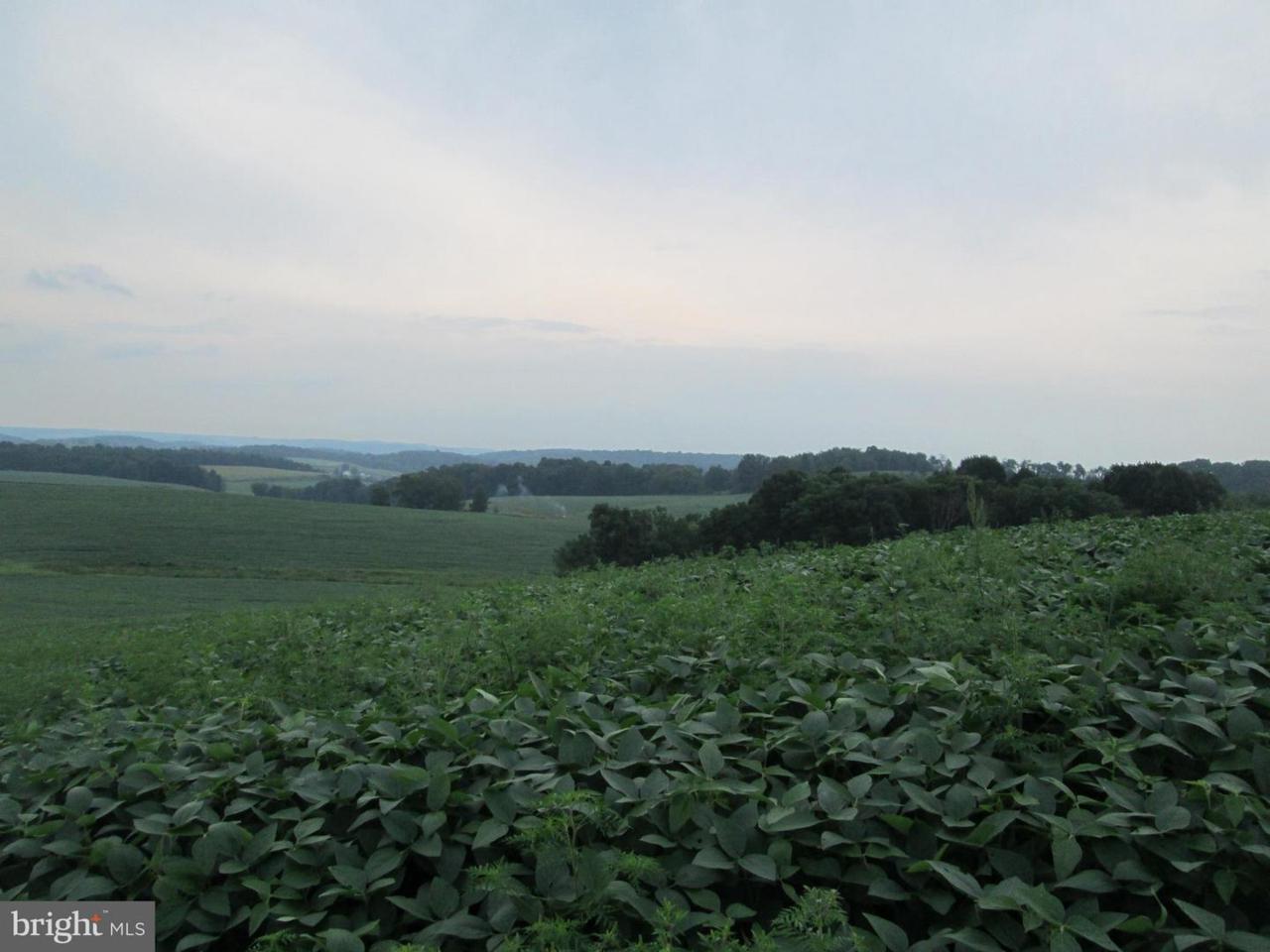 233 Open Road - Photo 1