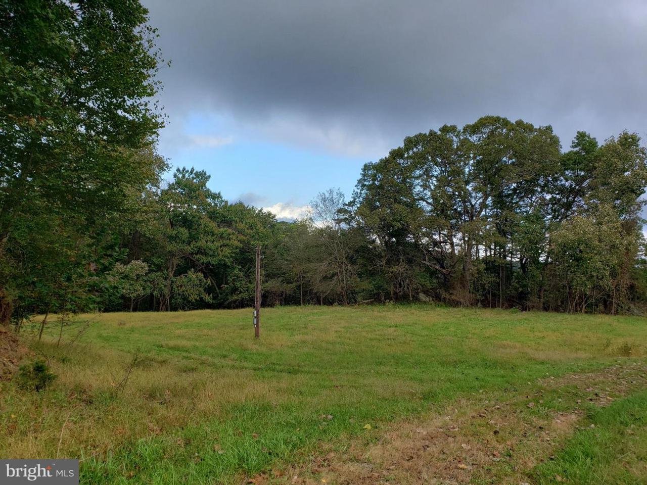 10 Old Kennels Lane - Photo 1