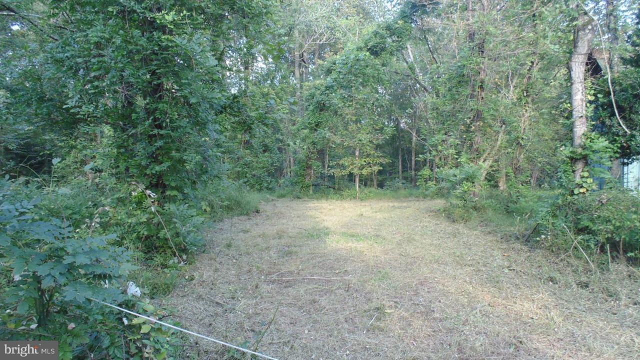 8050 Leeds Manor Drive - Photo 1