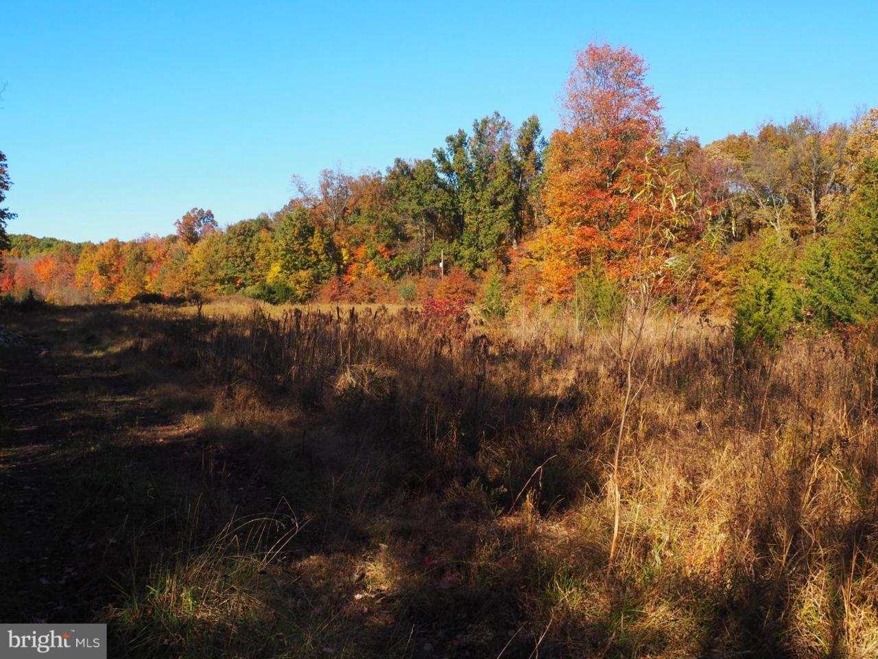L127 Forrest Road - Photo 1